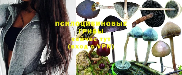 спиды Мегион