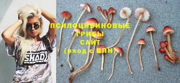 спиды Мегион